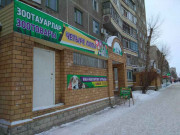 Четыре лапы