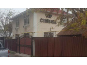 Vir cinema