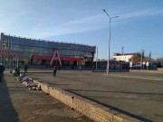 Божья коровка Божья коровка