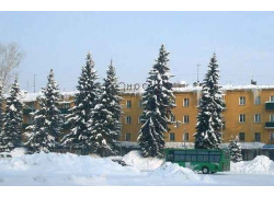 Центральная