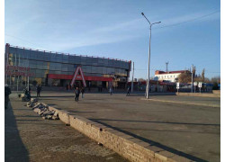 Божья коровка