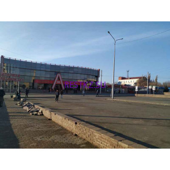 Божья коровка