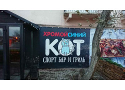 Хромой Синий Кот