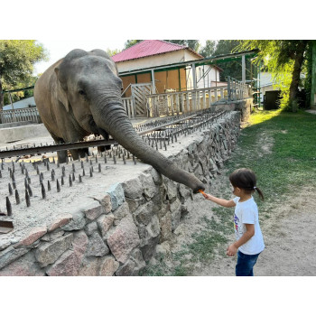  Правила поведения в зоопарке